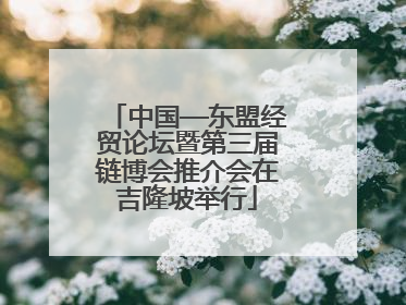 中国—东盟经贸论坛暨第三届链博会推介会在吉隆坡举行