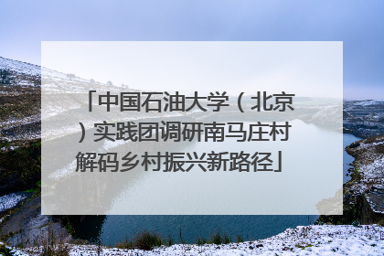 中国石油大学（北京）实践团调研南马庄村解码乡村振兴新路径