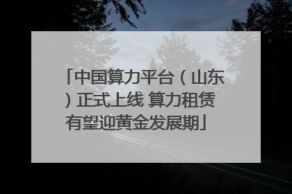 中国算力平台（山东）正式上线 算力租赁有望迎黄金发展期