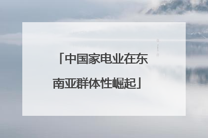 中国家电业在东南亚群体性崛起