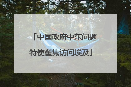 中国政府中东问题特使翟隽访问埃及