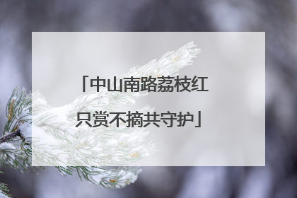 中山南路荔枝红 只赏不摘共守护