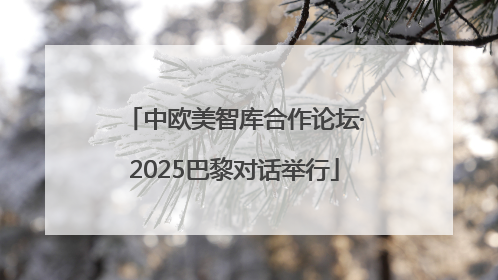 中欧美智库合作论坛·2025巴黎对话举行