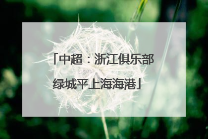 中超：浙江俱乐部绿城平上海海港