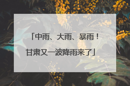 中雨、大雨、暴雨！甘肃又一波降雨来了