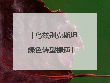 乌兹别克斯坦绿色转型提速