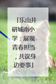 乐山井研城南小学：展现青春担当，共议身边要事