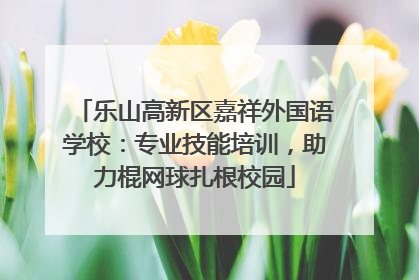 乐山高新区嘉祥外国语学校：专业技能培训，助力棍网球扎根校园