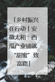 乡村振兴在行动丨安徽太和：西瓜产业铺就“甜蜜”致富路