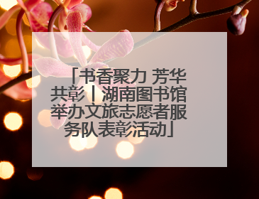 书香聚力 芳华共彰丨湖南图书馆举办文旅志愿者服务队表彰活动