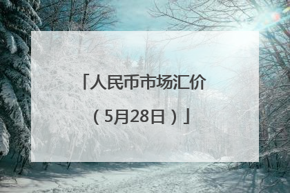 人民币市场汇价（5月28日）