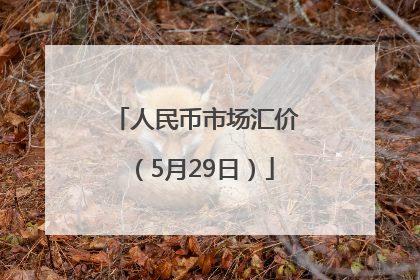 人民币市场汇价（5月29日）