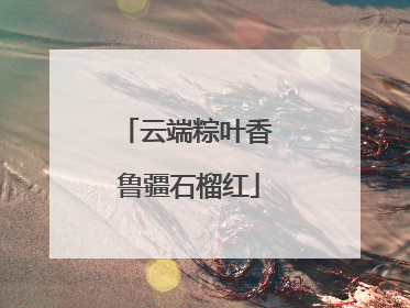 云端粽叶香 鲁疆石榴红