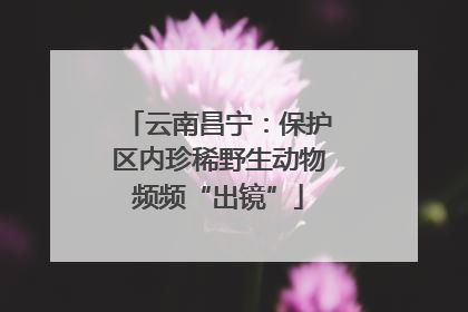 云南昌宁：保护区内珍稀野生动物频频“出镜”