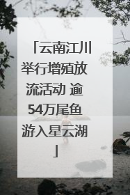云南江川举行增殖放流活动 逾54万尾鱼游入星云湖
