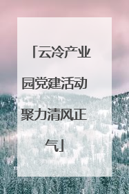 云冷产业园党建活动聚力清风正气