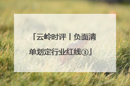 云岭时评丨负面清单划定行业红线③