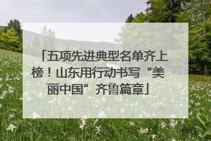 五项先进典型名单齐上榜！山东用行动书写“美丽中国”齐鲁篇章