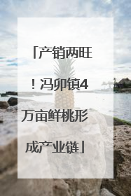 产销两旺！冯卯镇4万亩鲜桃形成产业链