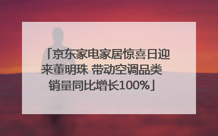 京东家电家居惊喜日迎来董明珠 带动空调品类销量同比增长100%