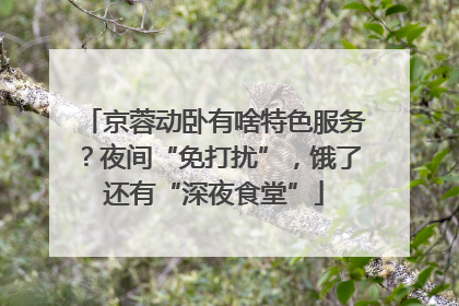 京蓉动卧有啥特色服务？夜间“免打扰”，饿了还有“深夜食堂”