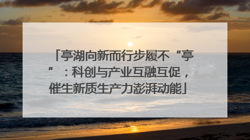 亭湖向新而行步履不“亭”：科创与产业互融互促，催生新质生产力澎湃动能