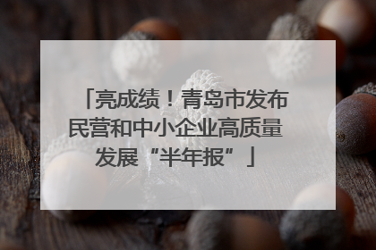 亮成绩！青岛市发布民营和中小企业高质量发展“半年报”