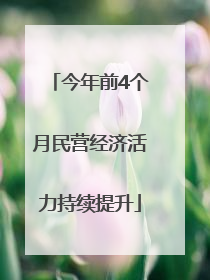 今年前4个月民营经济活力持续提升