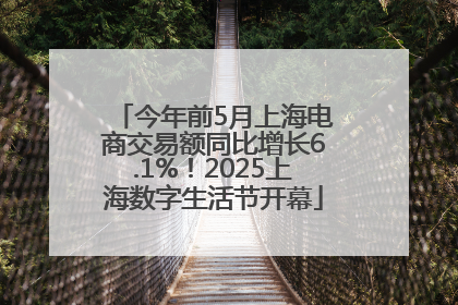 今年前5月上海电商交易额同比增长6.1%！2025上海数字生活节开幕