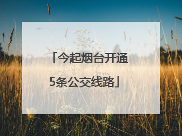 今起烟台开通5条公交线路