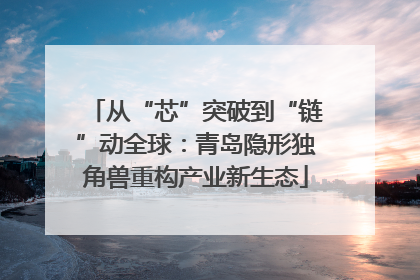从“芯”突破到“链”动全球：青岛隐形独角兽重构产业新生态