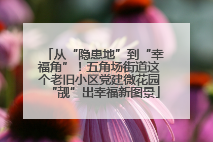 从“隐患地”到“幸福角”！五角场街道这个老旧小区党建微花园“靓”出幸福新图景