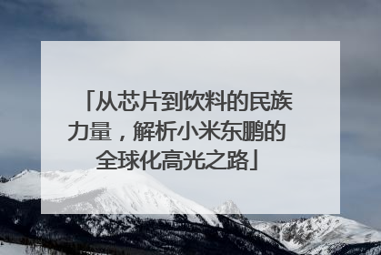 从芯片到饮料的民族力量，解析小米东鹏的全球化高光之路