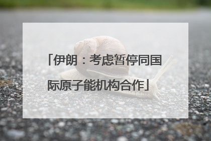 伊朗：考虑暂停同国际原子能机构合作