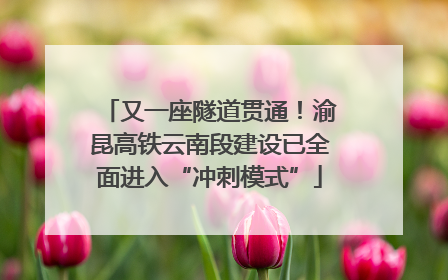 又一座隧道贯通！渝昆高铁云南段建设已全面进入“冲刺模式”