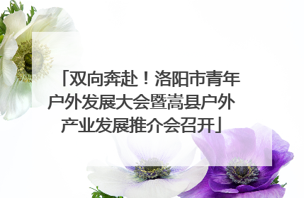 双向奔赴！洛阳市青年户外发展大会暨嵩县户外产业发展推介会召开
