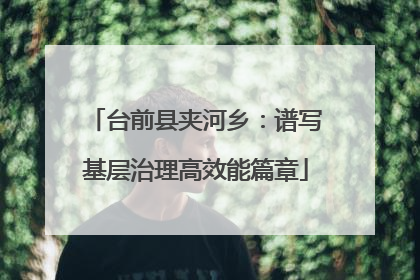 台前县夹河乡：谱写基层治理高效能篇章