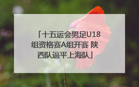 十五运会男足U18组资格赛A组开赛 陕西队逼平上海队