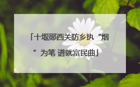 十堰郧西关防乡执“烟”为笔 谱就富民曲