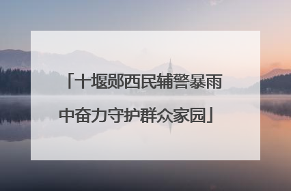 十堰郧西民辅警暴雨中奋力守护群众家园