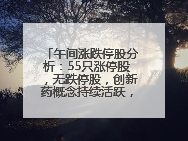 午间涨跌停股分析：55只涨停股，无跌停股，创新药概念持续活跃，昂利康6天4板，众生药业2连板