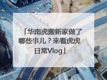 华南虎搬新家做了哪些事儿？来看虎虎日常Vlog
