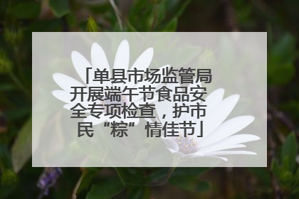 单县市场监管局开展端午节食品安全专项检查，护市民“粽”情佳节