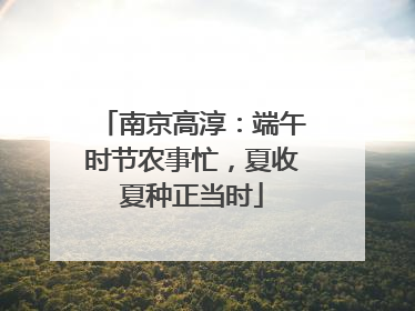 南京高淳：端午时节农事忙，夏收夏种正当时