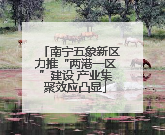 南宁五象新区力推“两港一区”建设 产业集聚效应凸显