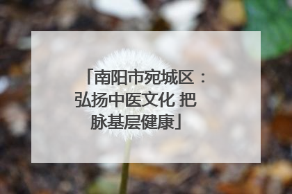 南阳市宛城区：弘扬中医文化 把脉基层健康