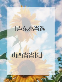 卢东亮当选山西省省长