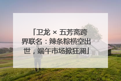 卫龙 × 五芳斋跨界联名：辣条粽横空出世，端午市场掀狂澜