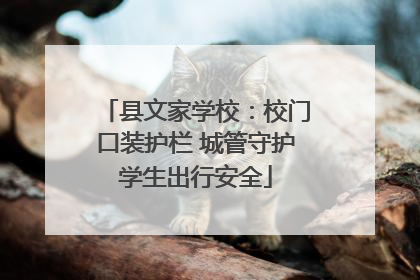 县文家学校：校门口装护栏 城管守护学生出行安全