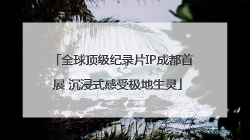 全球顶级纪录片IP成都首展 沉浸式感受极地生灵